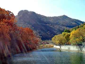 七十路熟女川畑千代子，中国黑网